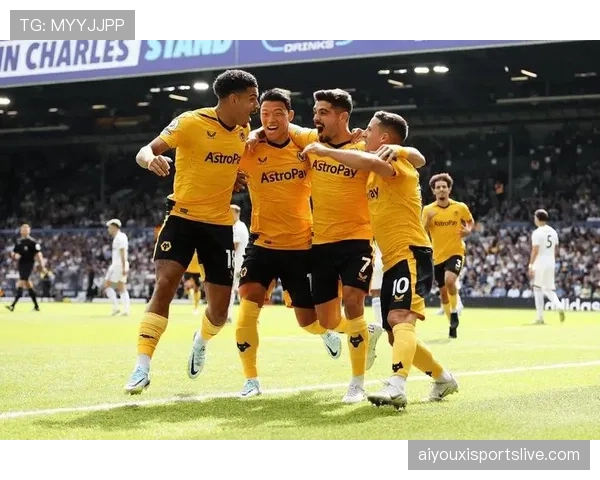 “门线悬案”再现!诺丁汉森林对阵狼队一役,皮球整体是否过线引VAR长时间审核